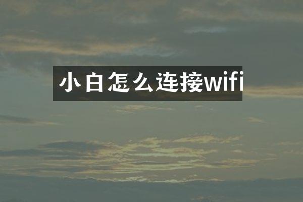 小白怎么连接wifi