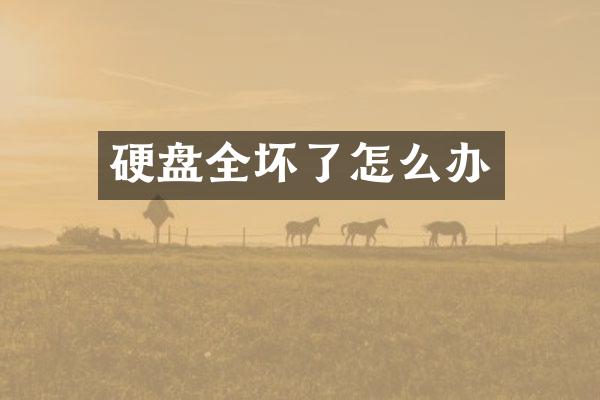 硬盘全坏了怎么办