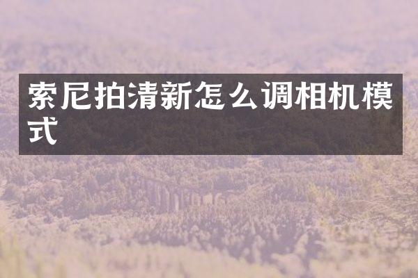 拍清新怎么调相机模式