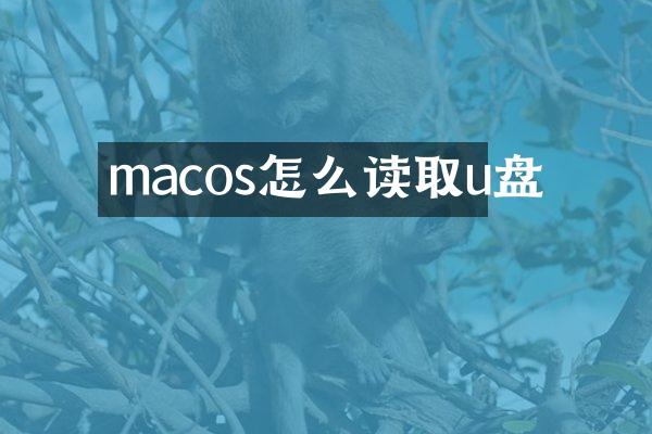 macos怎么读取u盘