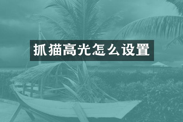 抓猫高光怎么设置