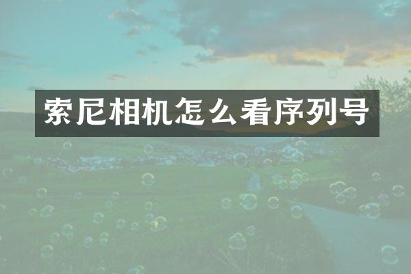 相机怎么看序列号