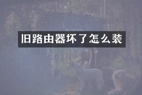 旧路由器坏了怎么装