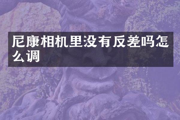 尼康相机里没有反差吗怎么调