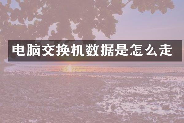 电脑交换机数据是怎么走