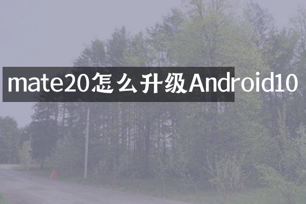 mate20怎么升级Android10