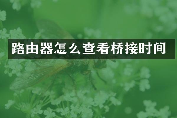 路由器怎么查看桥接时间