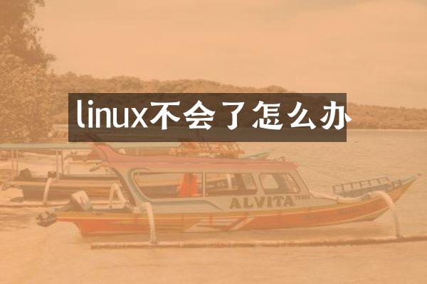 linux不会了怎么办