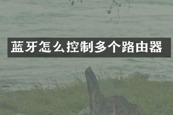 蓝牙怎么控制多个路由器