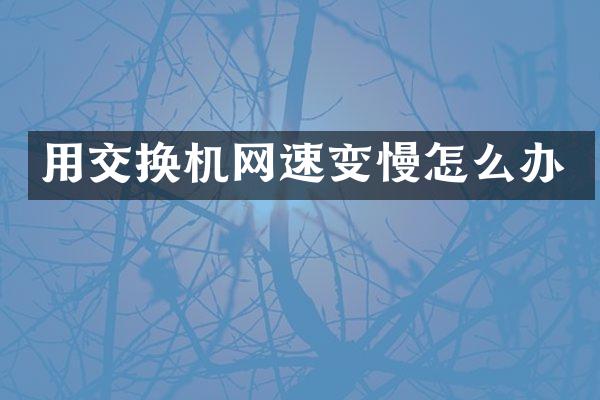 用交换机网速变慢怎么办