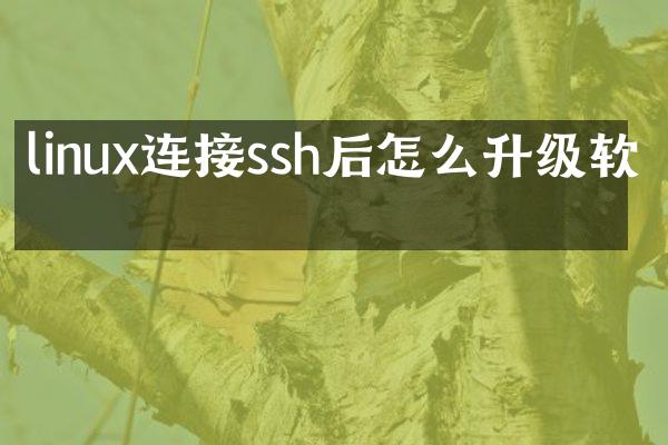 linux连接ssh后怎么升级软件