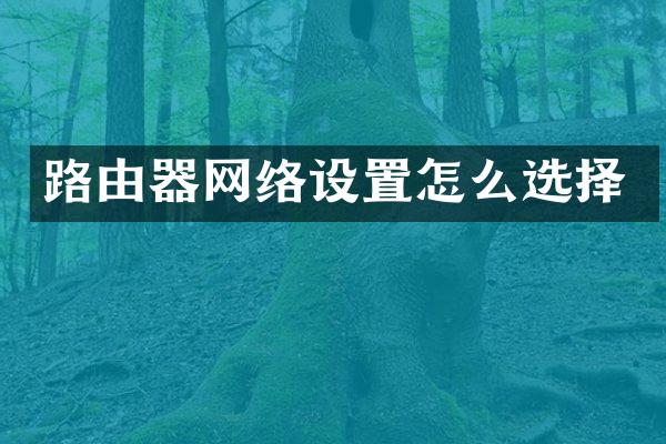 路由器网络设置怎么选择