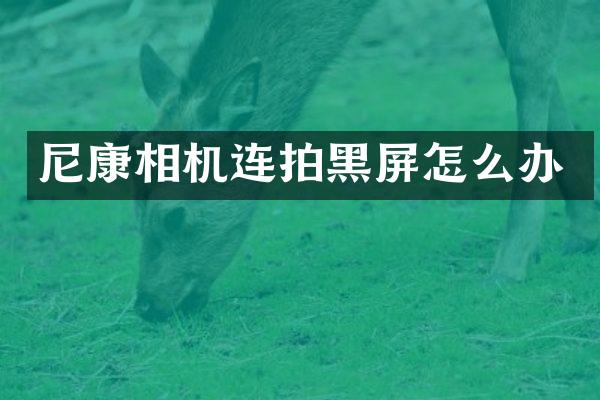 尼康相机连拍黑屏怎么办