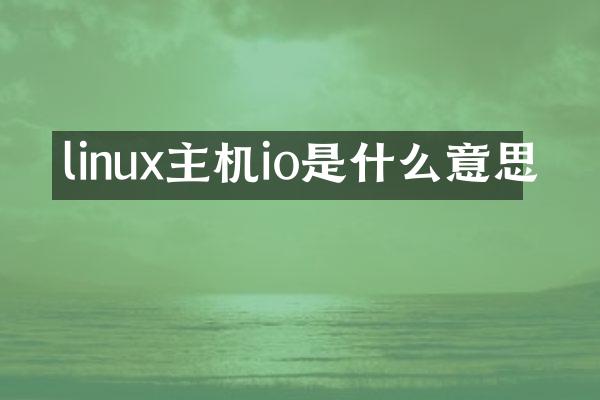 linux主机io是什么意思