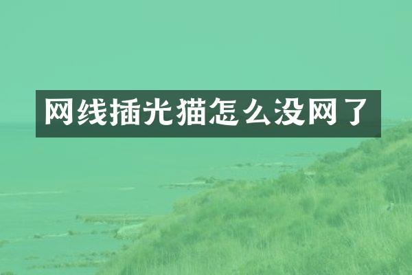 网线插光猫怎么没网了