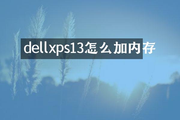 dellxps13怎么加内存