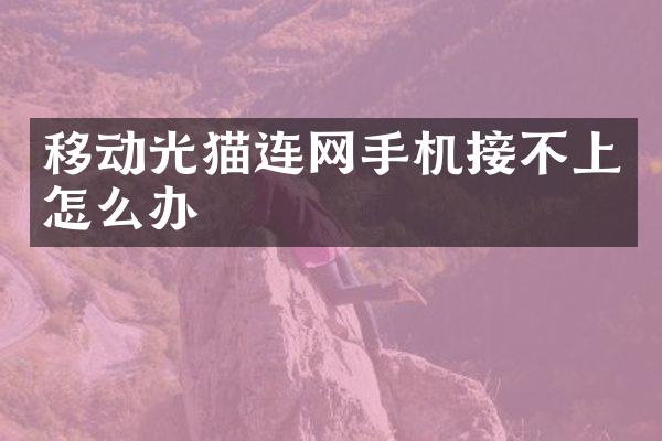 移动光猫连网手机接不上怎么办
