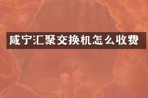 咸宁汇聚交换机怎么收费