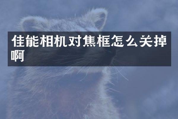 佳能相机对焦框怎么关掉啊