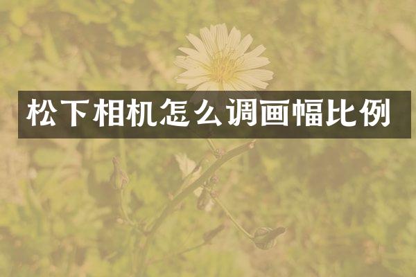 相机怎么调画幅比例