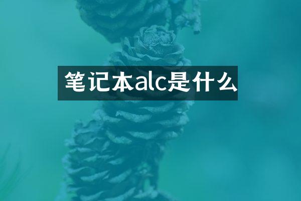 笔记本alc是什么