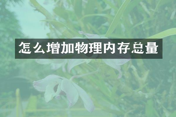 怎么增加物理内存总量