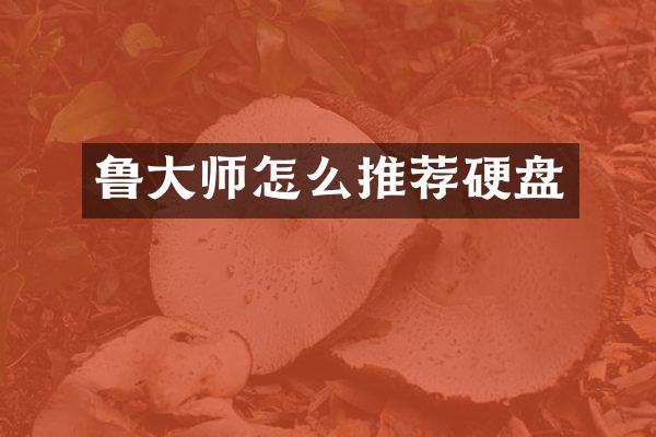 鲁大师怎么推荐硬盘