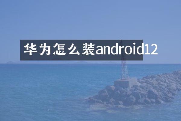 华为怎么装android12
