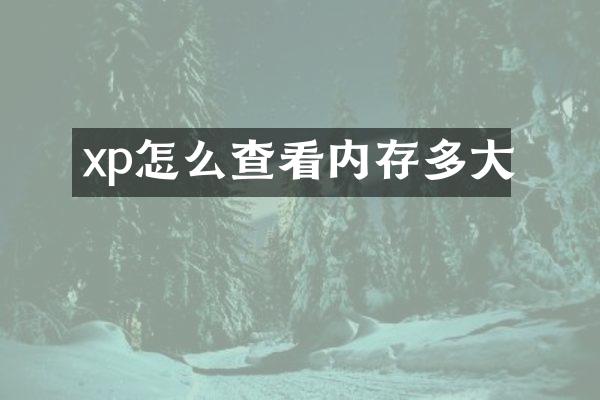 xp怎么查看内存多大