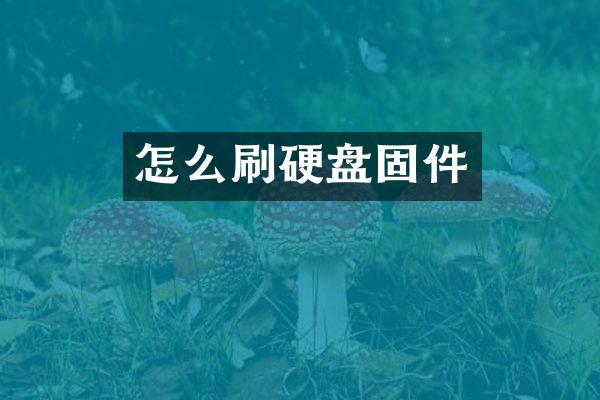 怎么刷硬盘固件