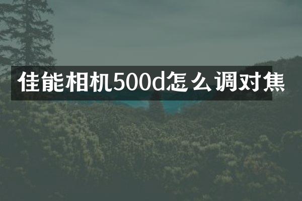 佳能相机500d怎么调对焦