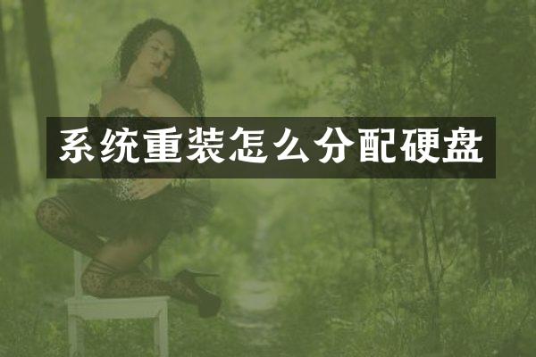 系统重装怎么分配硬盘
