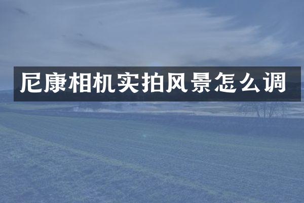 尼康相机实拍风景怎么调