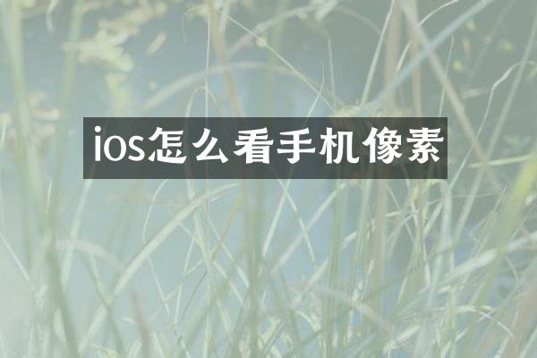 ios怎么看手机像素