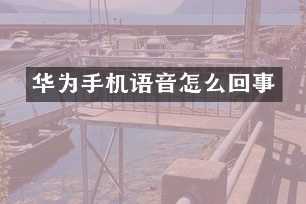 华为手机语音怎么回事
