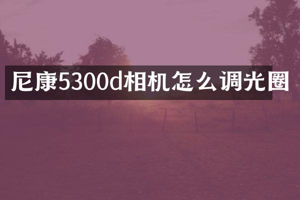 尼康5300d相机怎么调光圈