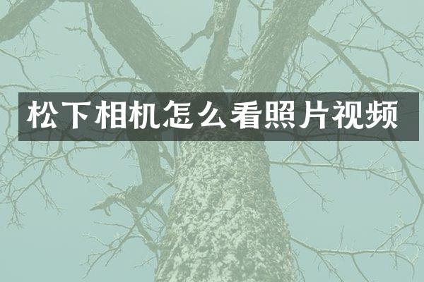 相机怎么看照片视频