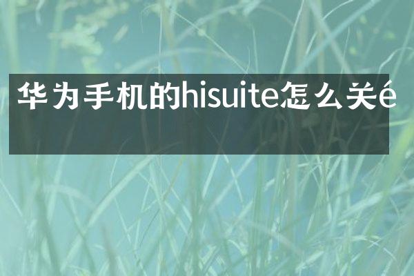 华为手机的hisuite怎么关闭