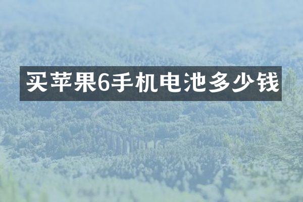 买苹果6手机电池多少钱