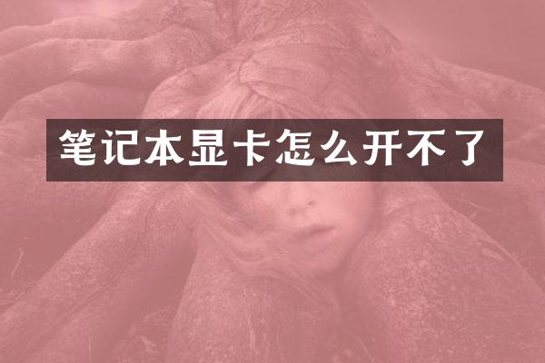 笔记本显卡怎么开不了