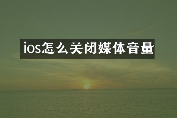 ios怎么关闭媒体音量