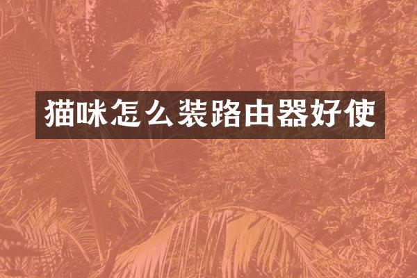 猫咪怎么装路由器好使