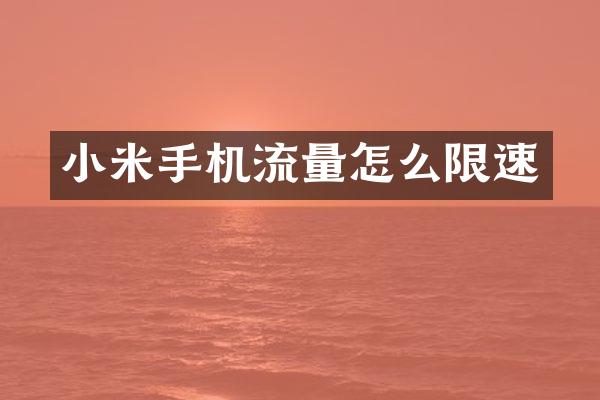小米手机流量怎么限速