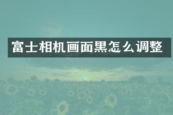 富士相机画面黑怎么调整