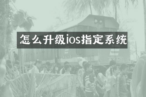 怎么升级ios指定系统