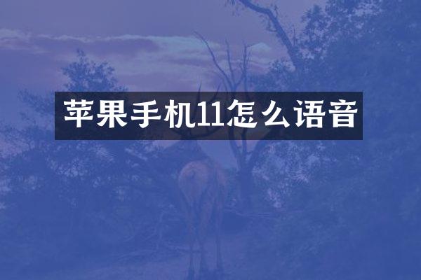 苹果手机11怎么语音