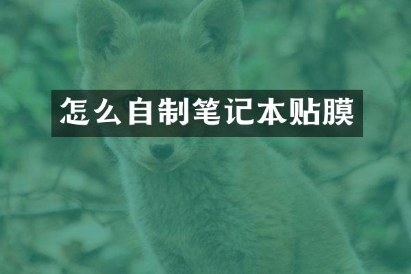 怎么自制笔记本贴膜