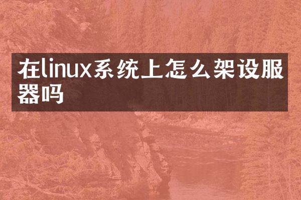 在linux系统上怎么架设服务器吗