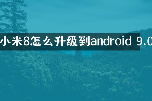 小米8怎么升级到android 9.0