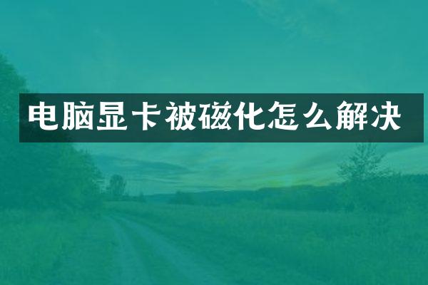 电脑显卡被磁化怎么解决